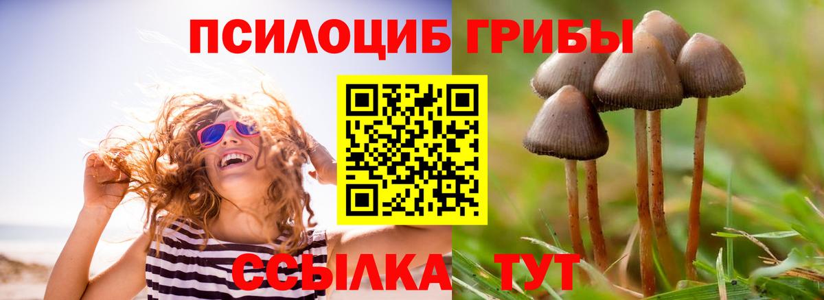 Псилоцибиновые грибы MAGIC MUSHROOMS  Вход с VPN  Унеча 